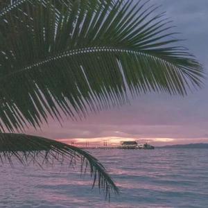 国产传媒高清无码无套
