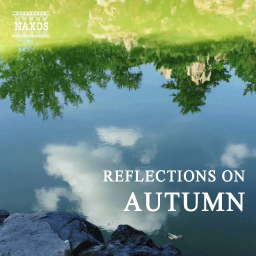 国产传媒高清无码无套
